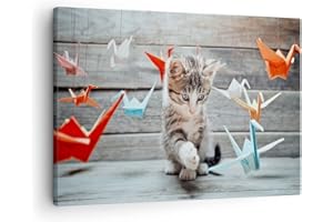 ARTTOR Lienzos decorativos Gato diversión origami Cuadro Sobre Lienzo Moderno 70x50cm Cuadros Decoracion Salon Dormitorio Cocina Cuadros Pared Imágenes Wall Art Prints Decor Canvas AA70x50-2818