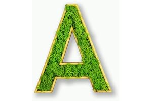‎MOOSLY Moosly® Moosbild - A - mit Rahmen aus Holz, Moos Deko Buchstaben Zeichen Symbol Zahl Holzbuchstabe mit echtem Islandmoos Wandtattoo Wandsticker Wandbild selbstklebend Wohnzimmer (102 A)