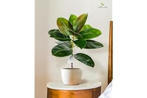 Leflos 60cm árbol Artificial de Caucho para Interior, árbol Artificial Tropical en Maceta Blanca