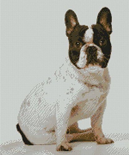 French Bulldog Puppy Counted Cross Stitch Kit 15" X 9.5" 38cm x 24cm