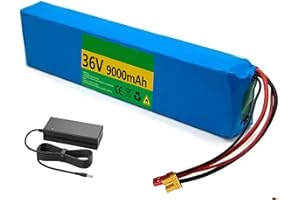STDPCXZ 36V 9Ah Vélo Électrique Scooter Batterie,Batterie De E-Bike 36V Li-ION Battery, with Built in BMS and Charger, Batterie Trottinette Électrique for 200W 350W 500W 750W