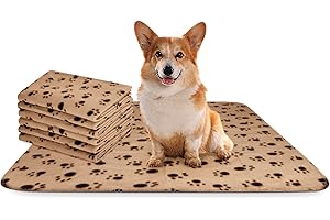 Nobleza - 6 x Hundedecke Weiche Fleecedecke Waschbare Deck für Haustier Hunde Katzen Welpen Weiche Warme Matte, Beige, 75 * 75cm