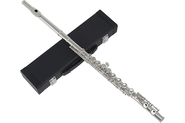 Andoer®-Flûte de concert Western en cupronickel plaqué argent, 16 trous, en do, instrument à vent en bois avec chiffon de nettoyage, graisse pour liège, gants, mini tournevis, étui rembourré Argenté.