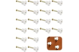 teasteam Chiodi per Quadri Muro 20Pcs Ganci Invisibili Appendi Quadri Non-Punzonatura Ganci Gancetti Quadri per Quadri Muro per Appendere Foto, Foto di nozze, Dipinti, Orologio, Specchi(Bianco)