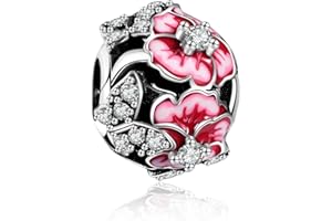 XWN Charms Beads 925 Sterling Silver for Pandora Bracelet, Dangle Pendant Charms for Necklace and Bracelet Jewelry Gifts for Women.E4