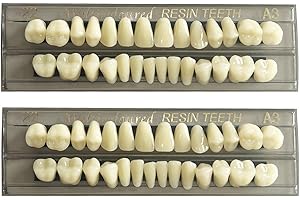 HRASY Lot de 56 fausses dents en résine synthétique - 22 A3