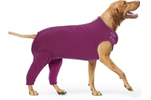 PUMYPOREITY Tuta Post Operatoria Cane, Body Post Operatorio Femmina Tutore Zampe Posteriori Manicotto per Cani Post Intervento Body Chirurgico(Viola-Rosso, 2XL)