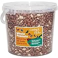 Wild Peanuts For Garden Birds | 5L Tub Bucket | Aflatoxin Free | Quality Fresh Bird Food | Protein Rich High Energy All Year Round
