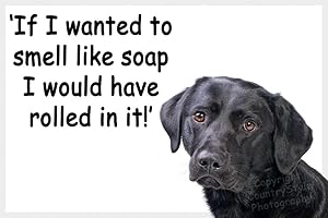 COUNTRYSTYLE GIFTS Black Labrador Retriever Dog Funny Fridge Magnet Lab Gift