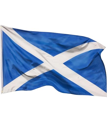 AZ FLAG Tischflagge Provinz Lyonnais – 21x14 Cm, Mit Schwarzem Sockel, Polyester, Für Innenräume