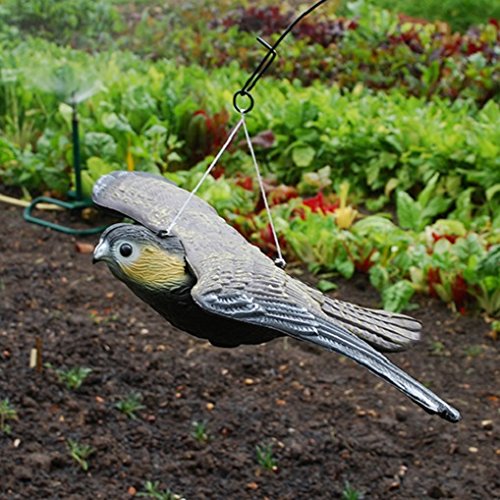 Defenders Fliegender Falke (Für Vögel und Tauben, Vogel-Abwehr, 33.3 x 51.5 x 9.4 cm) - 3