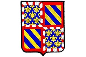 AKACHAFACTORY Embroidered Patch - Heraldic Burgundy Region Coat of Arms/Flag