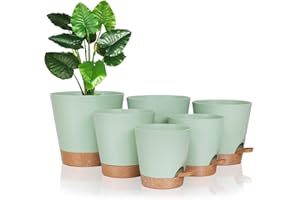 Warmplus Self-Watering Plant Pots Indoor, 20/17.5/16.5/15/14/12.5cm Plastic Flowerpots with Drainage Holes Saucer and Reservoir, Indoor Modern Decorative Planters for All House Plants, Green