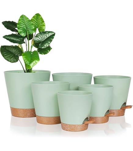 XXXFLOWER Zelfbevattende bloempot, set van 5 bloempotten met afvoergaten en waterbehouder, plantenbakken voor binnen en buiten, balkon, tuin en als huisdecoratie, groen XXXFLOWER Zelfbevattende bloempot, set van 5 bloempotten met afvoergaten en waterbehouder, plantenbakken voor binnen en buiten, balkon, tuin en als huisdecoratie, groen