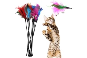 LYEAA Varita de plumas retráctiles para gatos, 5 piezas, varillas cortas de plumas coloridas, juguete intertivo para gatito, gato, bruja, divertido, ejercicio