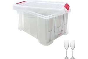 Sundis Champ Store, caja almacenaje para copas de champán, plástico transparente, reforzada con tapa de clip, apilable y combinable, capacidad 12 vasos