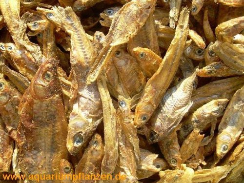 Preisvergleich Produktbild 250 g getrocknete Fische für Schildkröten