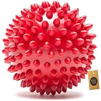 The Pets Company Natural Rubber Spiked Ball Dog Chew Toy, Puppy Teething Toy, 3 Inches