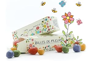 DIE STADTGÄRTNER Les billes de fleurs, version originale I 25 bombes à graines colorées faites main, avec 20 variétés de fleurs I Pour un petit cadeau sympa ou pour les pochettes surprise aux goûters d’anniversaire