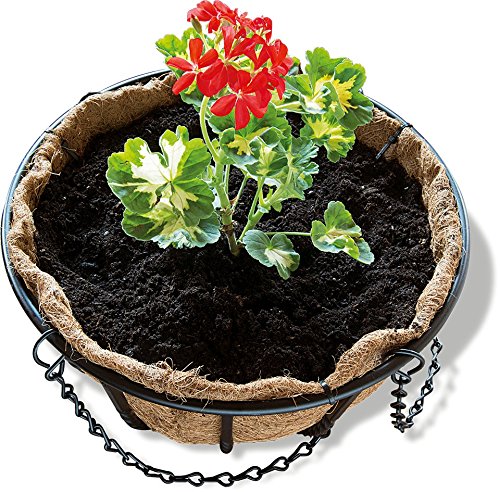 Gardman Schmiedeeiserne Blumenampel, 40 cm - 7