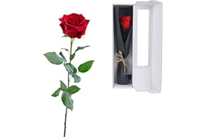 elthmpr Infinity Rose rosa am Stiel - Echte Konservierte Rose in Geschenkbox Geschenke für Frauen Ewige Rose in Ihrem GeburtstagsjubiläUm Muttertag Weihnachten