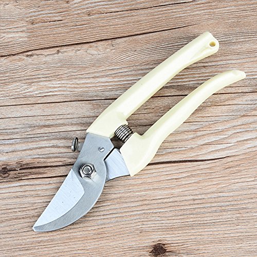 SCISSORS Shears Bypass Home Garden Pruning Shears Fruit Branch Garden Flower Best For Trees Plants Hedges