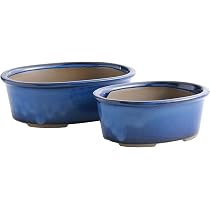 Wazakura Bonsai-Topf-Set – Handgefertigt In Japan, 2-teilig, Blau Glasiert, Mit Drainagelöchern