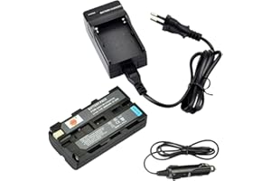 DSTE® Ersatz Batterie und DC01E Reise Ladegerät Compatible für Sony NP-F550 NP-F330 NP-F570 CCD-SC5/E CCD-SC55E CCD-SC6 CCD-SC65 CCD-SC7 CCD-SC7/E CCD-SC8/E CCD-SC9 CCD-TR1 CCD-TR11 CCD-TR1100E Camera