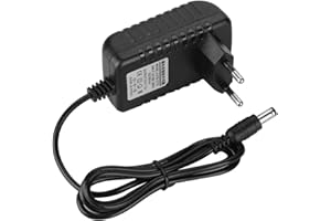 Garsent Bloc d'alimentation Universel, 21V / 1A Charger Adapteur Chargeur de Batterie au Lithium pour Balance Voiture, Jouet, Équipement Électroniques.(EU)