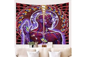 Langjitianya Pasek narzędziowy rozcięcie boczne gobelin ścienny, album narzędziowy flaga plakat naklejki (lateralus)