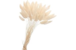 AILOVONE Pampasgras Trockenblumen 50 Stück Elegantes Pampasgras Deko Natürlich Blumenstrauß Flauschiges Getrocknete Blumen Herbst Boho Deko für Hochzeit Büro Schlafzimmer Wohnzimme (Weiß)