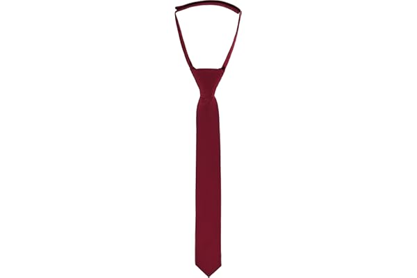 Ladeheid Cravate Enfant Garçon KJ (31cm x 4cm)