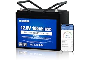 DCHOUSE 12V 100Ah LiFePO4 Batteri, BMS 100A amélioré, jusqu'à 15000 cycles, batterie au lithium 1280Wh, parfaite pour les camping-cars, caravanes, bateaux, camping, systèmes solaires