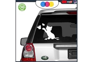 MURAL STICKERS Adesivo Gatto Gattino con Farfalle, Sticker Cat per Porte, finestre, Mobili, Pareti, Muro, Auto, Moto, Camper, Tuning 15x20 cm (Nero o Bianco)