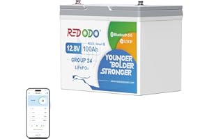 Redodo 12V 100Ah Group24 Bluetooth Batteria Litio,Batterie Lifepo4 con Protezione a Bassa Temperatura,Ricaricabile,Protezione 100A BMS,15000 Cicli Profondi,per Camper,Sistema Solare,Barca,Off-Grid