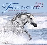 Fantastico. Fantastische Pferde, Edition Boiselle 2012 by