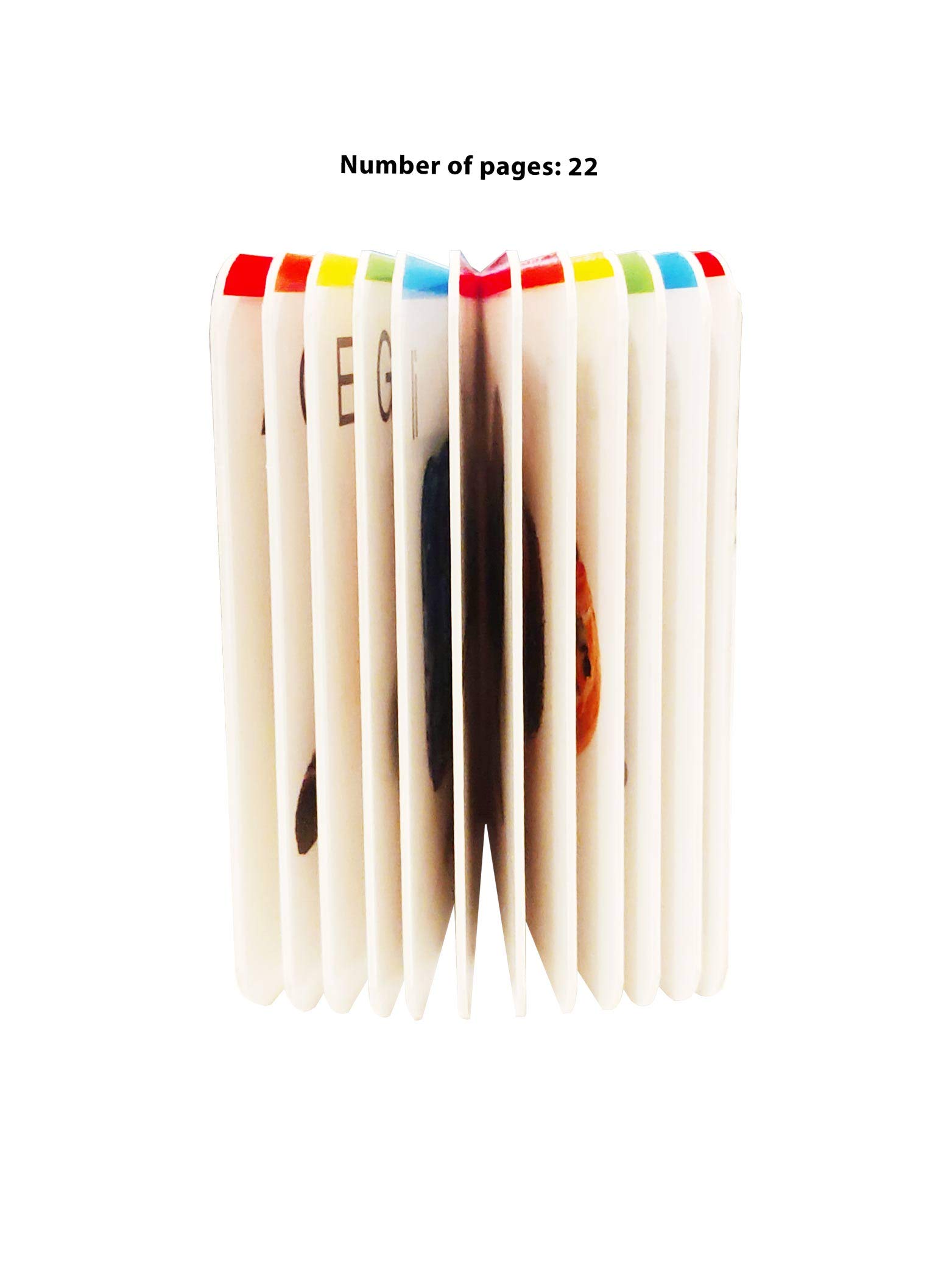 My First Library: Boxset of 10 Board Books for Kids - Image 5