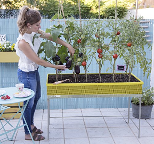 Green Passion Metallhochbeet. Hochwertiges Sortiment, Pflanzbeet, Kräuterbeet, Gemüsebeet für Balkon & Terrasse 120x56x80 cm.Gelb-Farbe - 4