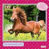 Pferdefreunde 2017 by Thea Roß