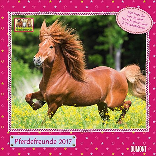 Pferdefreunde 2017