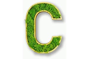 Moosly® Moosbild - C - mit Rahmen aus Holz, Moos Deko Buchstaben Zeichen Symbol Zahl Holzbuchstabe mit echtem Islandmoos Wandtattoo Wandsticker Wandbild selbstklebend Wohnzimmer (104 C)