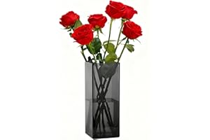 Koelaa Vase à Fleurs en Acrylique Incassable, Vase Transparent Gris Moderne, Décorations Salon et Chambre Style Scandinave, Déco Maison Minimaliste, Cadeau Femme/Mariage/Anniversaire - 10 x 20cm