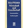 Max Weber Gesamtausgabe. Studienausgabe / Max Weber Studienausgabe: Band I/22,1: Wirtschaft und Gesellschaft. Gemeinschaften