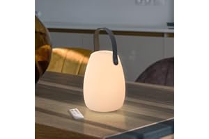 ‎GGNOO GGNOO Akku Outdoor Lampe Tragbare LED Tischlampe für Außen mit Fernbedienung 8 Farben Dimmbar Batteriebetrieben Nachtlicht mit USB für Tisch Schlafzimmer Wohnzimmer Garten Camping BBQ