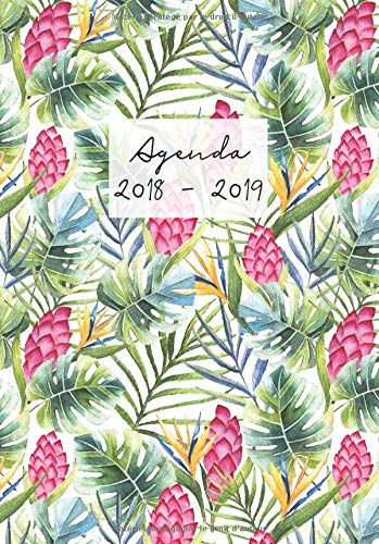 Download Agenda 2018-2019: Agenda Scolaire de Juillet 2018 à Août 2019, A5, motif palmier tropical Download Agenda 2018-2019: Agenda Scolaire de Juillet 2018 à Août 2019, A5, motif palmier tropical