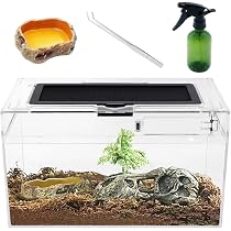 Terrario Per Rettili 50x25x20 Cm Con Coperchio A Schermo - A Tenuta D'acqua, Sicuro, Ideale Per Ragni, Insetti, Piccoli Rettili