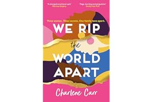 We Rip the World Apart: A sweeping story about motherhood, race and secrets