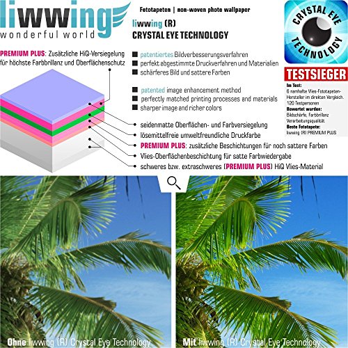 Vlies Fototapete PREMIUM PLUS Wand Foto Tapete Wand Bild Vliestapete – PARADISE BEACH – Strand Meer Palmen Beach 3D Ozean Palme – no. 005, Größe:300x210cm Vlies - 2