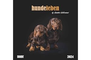 DUMONT KALENDERVERLAG Hundeleben 2024 - DUMONT Wandkalender - mit den wichtigsten Feiertagen - Format 38,0 x 35,5 cm: by Sandra Schürmans