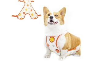 BLUE DREAM ISLAND Dog Belly Cover,Pet Warm Waterproof Abdominal Protective Clothing Washable Dog Bellyband Pet Vest Recovery Suit_Orange-Male(L)
